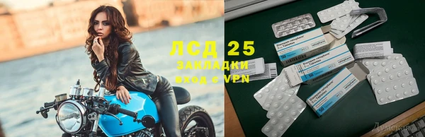 СК Зерноград