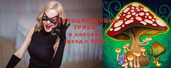 гидропоника Зеленокумск