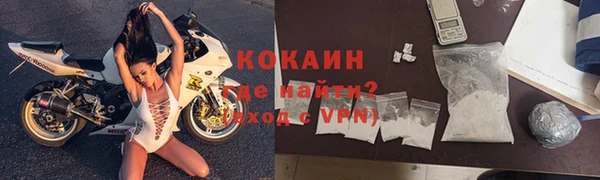 стаф Заводоуковск