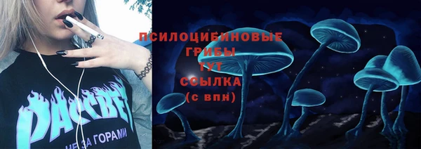 СК Зерноград
