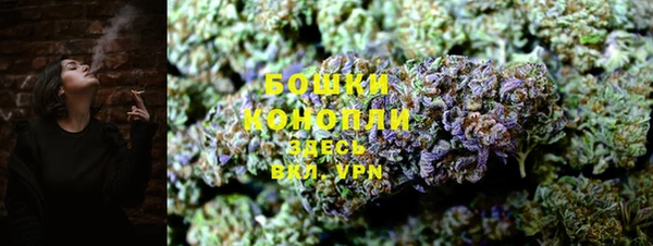 ГАЛЛЮЦИНОГЕННЫЕ ГРИБЫ Зеленодольск