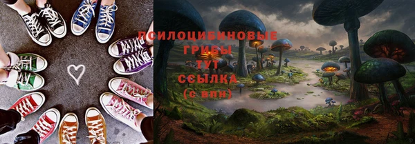 гидропоника Зеленокумск