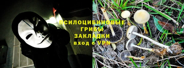 СК Зерноград