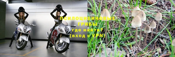 гидропоника Зеленокумск