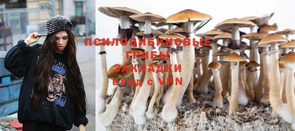 гидропоника Зеленокумск
