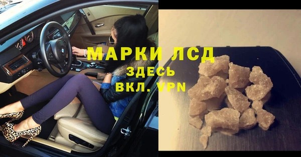 СК Зерноград