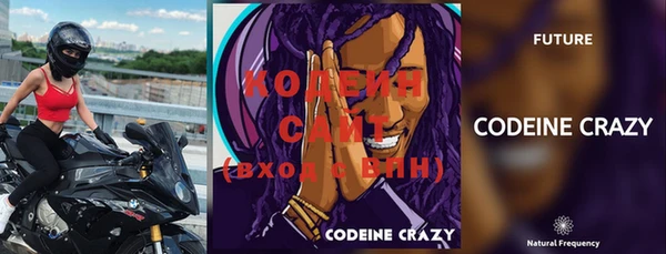 индика Заволжье